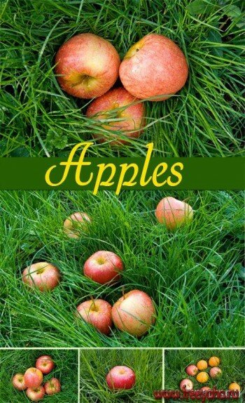 Apples | 