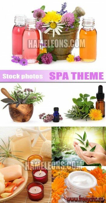     | Spa & herbal theme