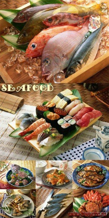 Seafood | 