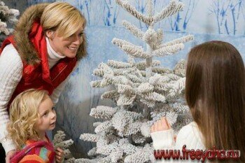 IS722 Christmas Tree Shopping |    