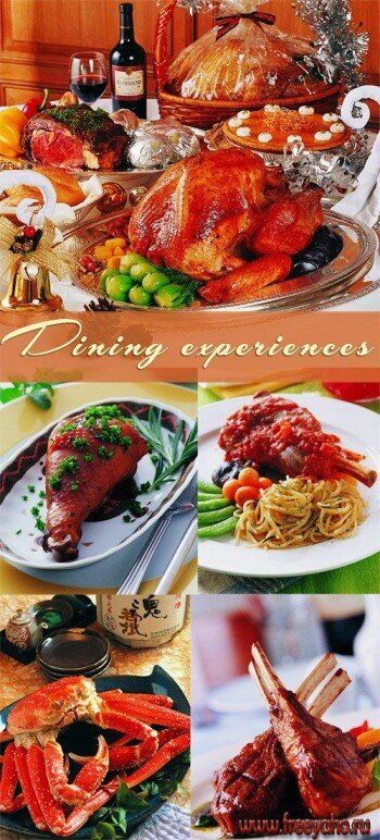 Dining experience