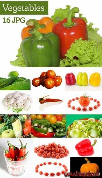 Stock vegetables | 