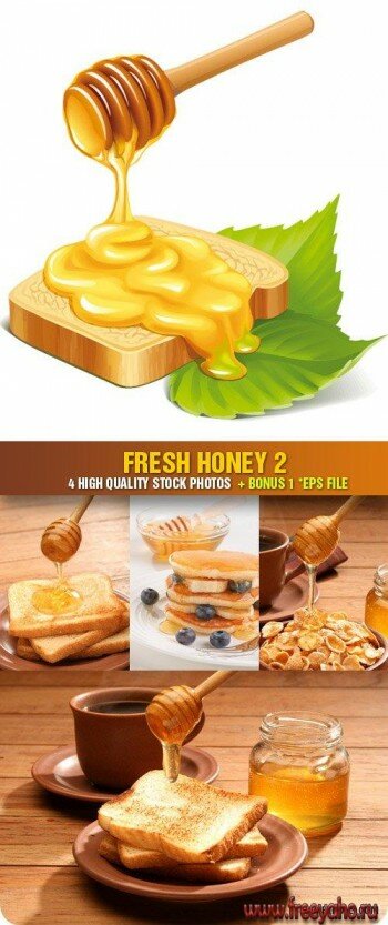     | Stock Photo - Fresh Honey 2