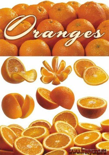 Orange | 