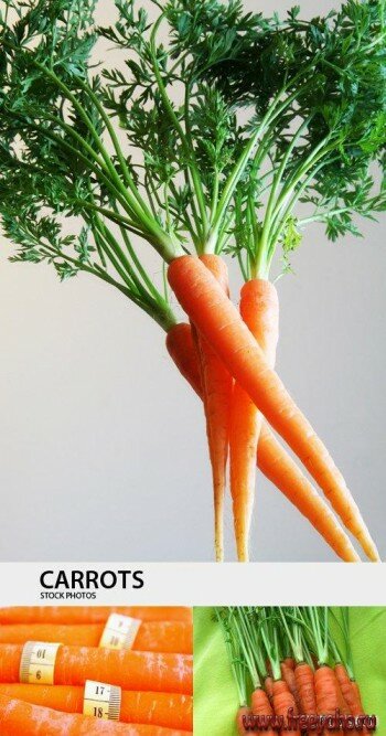  -   | Carrot