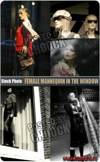    -  | Stock Photo - Mannequins in shop windows