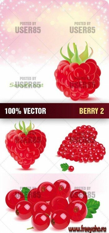    2 | Stock Vector - Berry 2