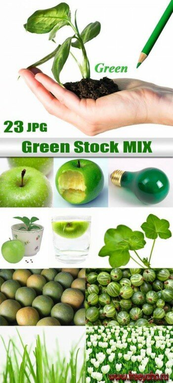 Green stock mix |  