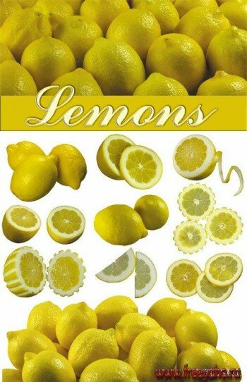 Lemons | 