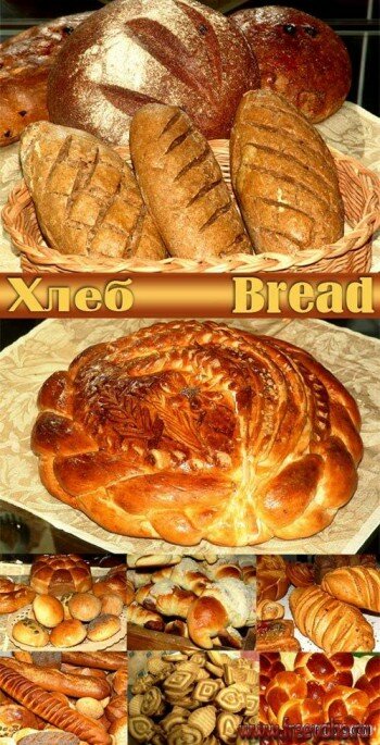 Bread - stock photo |  