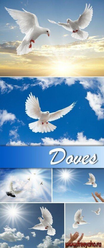       | Doves & blue sky