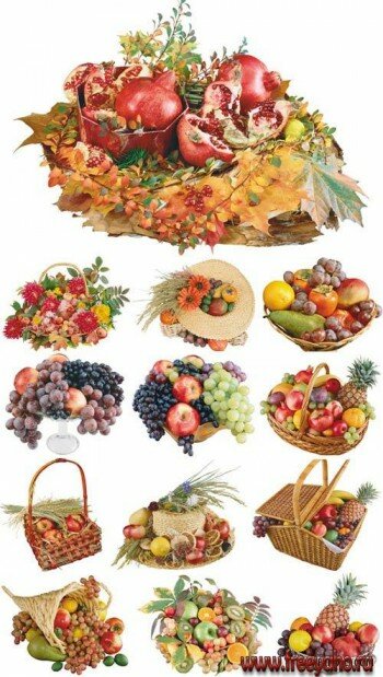 Fruit Arrangement |   