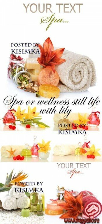     -  | Spa and wellness objects