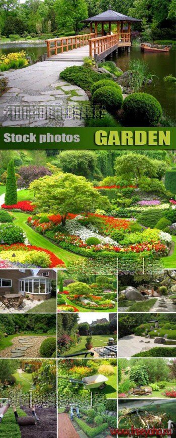     | Garden & home