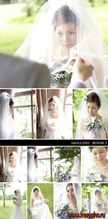   -   | Hakata Good - Wedding 3