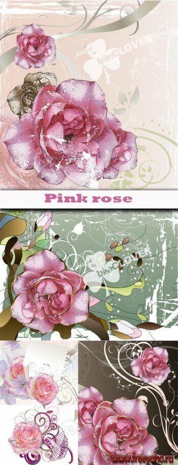       | Grunge vector rose backgrounds