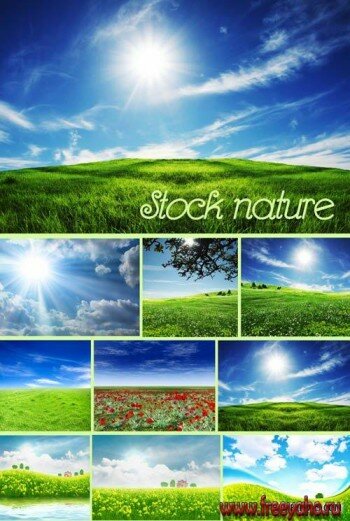 Nature - Stock photos | 