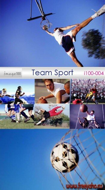 Team Sport | 