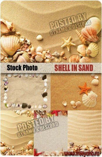    -   | Sand and seashell