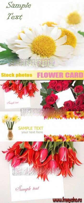     | Flower cards