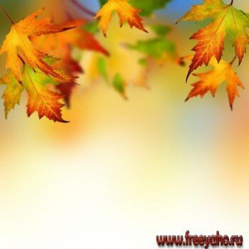      -   | Autumn backgrounds with leaves