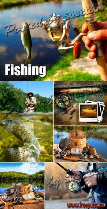   -  | Stock Photo - Fishing