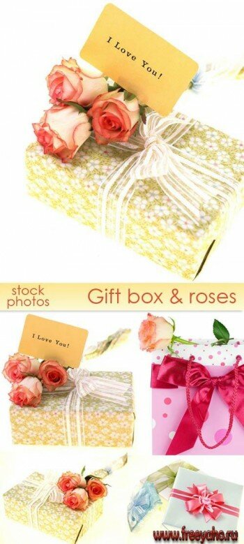     | Gift box & roses