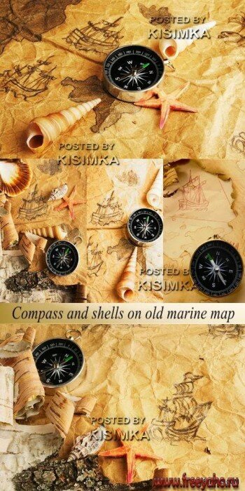     -  l Stock Photo - Compass and shells on old marine map