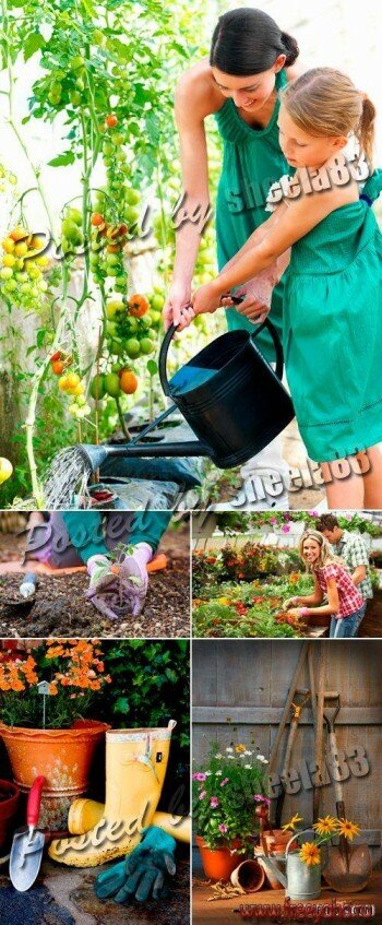    -   | Stock Photo - Gardening