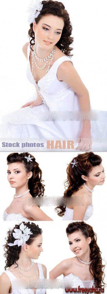      -   | Woman & Wedding hair clipart
