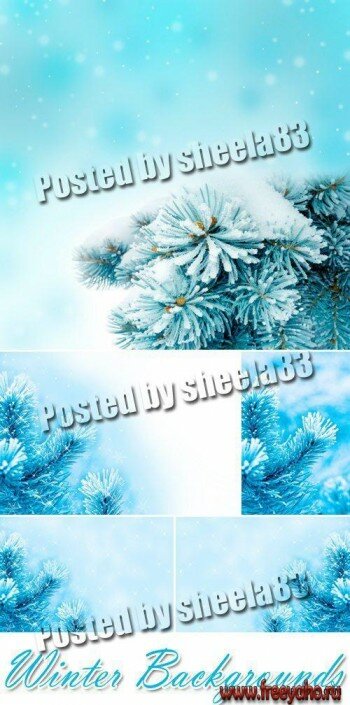 Зимние голубые фоны с еловыми ветками | Winter Backgrounds