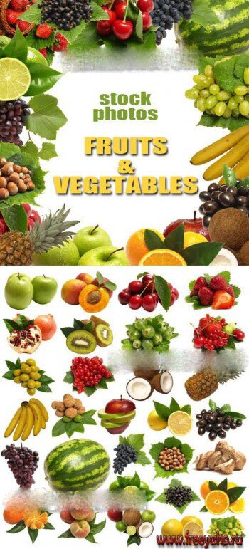       -   | Fruits & vegetables frame & collage