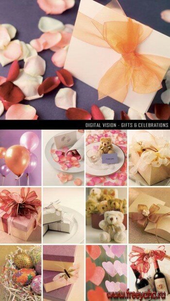   -   | Digital Vision IDJ-DI146 Gifts & Celebrations