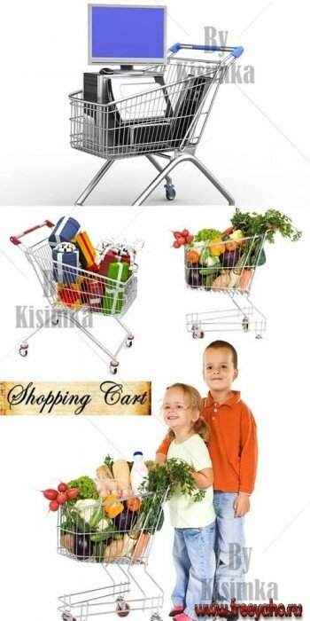        -   | Shopping carts with products & commodities