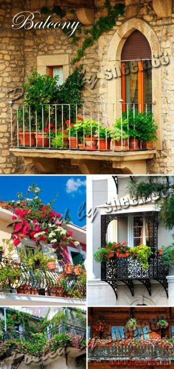    -  | Balcony and Flowers