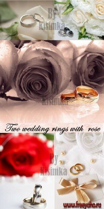     -   | Wedding rings & rose clipart