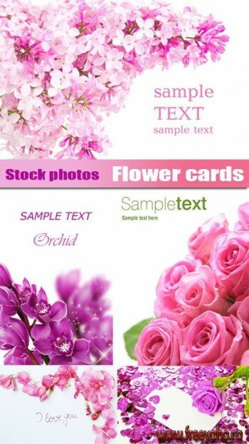    | Flower cards