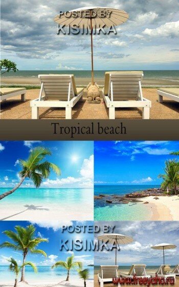     -   | Sea and tropical beach 3
