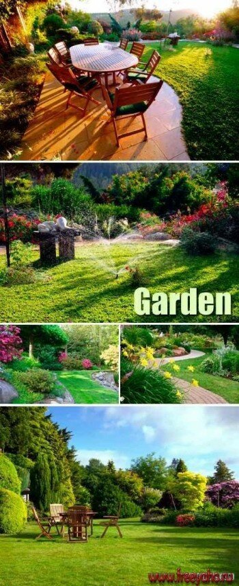   -   | Green garden clipart