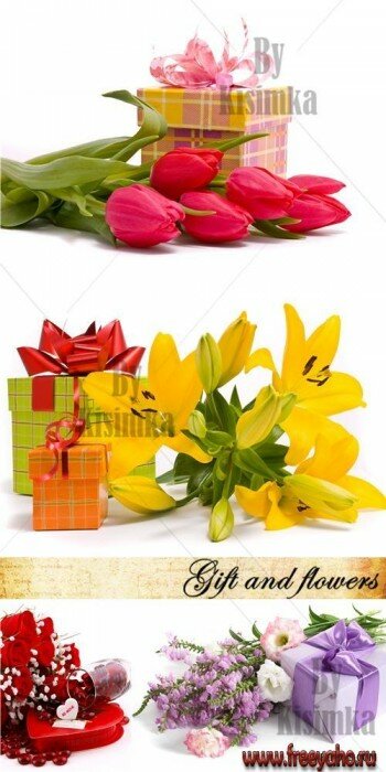     -   | Flower & Gift box clipart