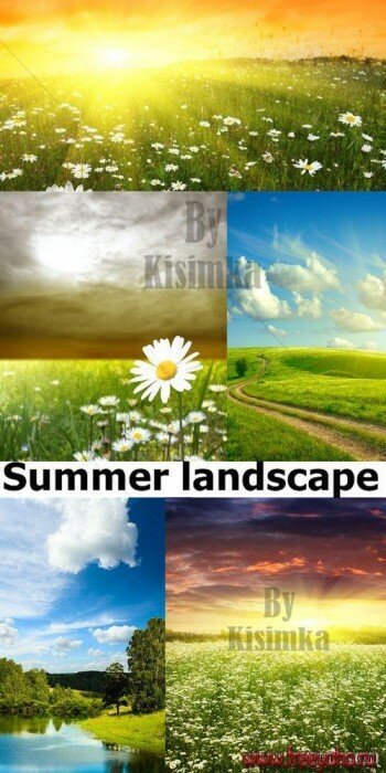   -   | Summer fields clipart