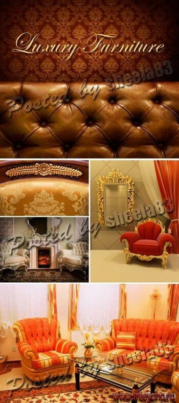   -   | Luxury Furniture