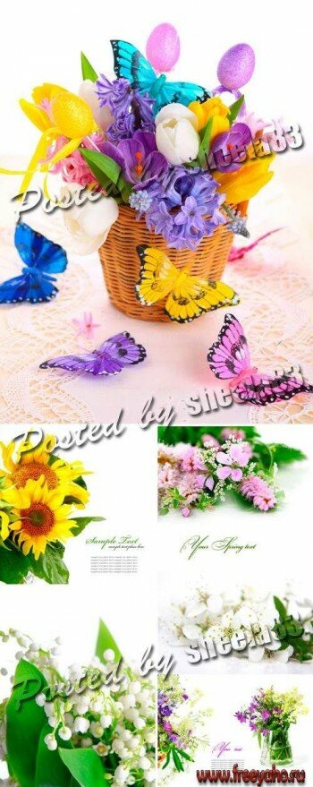   -   | Stock Photo - Flower Cards