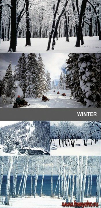     -   | Winter nature clipart