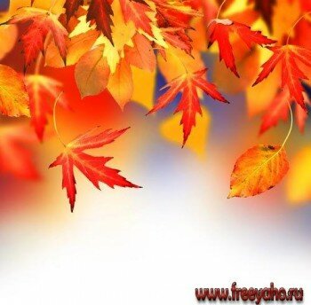      -   | Autumn backgrounds with leaves