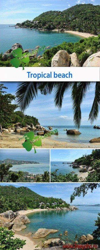    -   | Sea and tropical beach 2