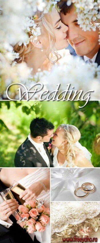    -  | Wedding Clipart
