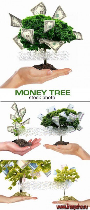 Денежное дерево в руках человека - растровый клипарт | Money tree in hands