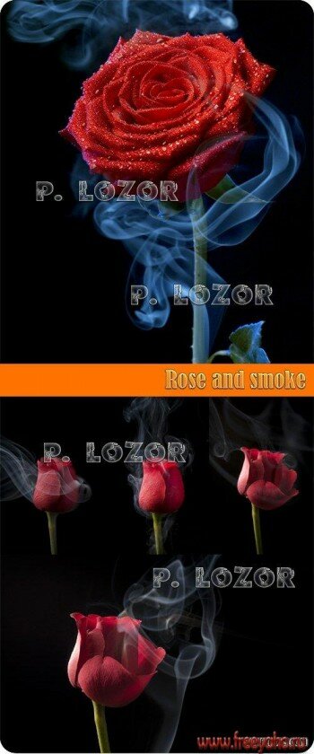     -   | Red rose & smoke clipart