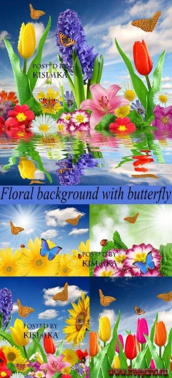     | Nature background and butterfly